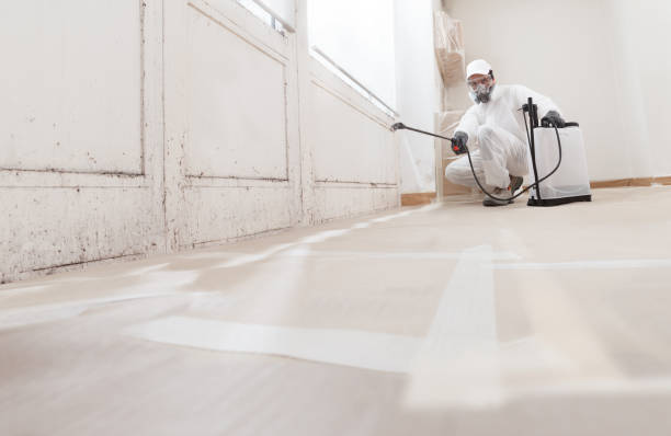 24/7 Emergency Crawl Space Mold Remediation experts in Jamestown, KY