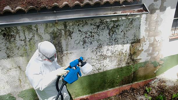 Top rated local Crawl Space Mold Remediation specialists in Jamestown, KY